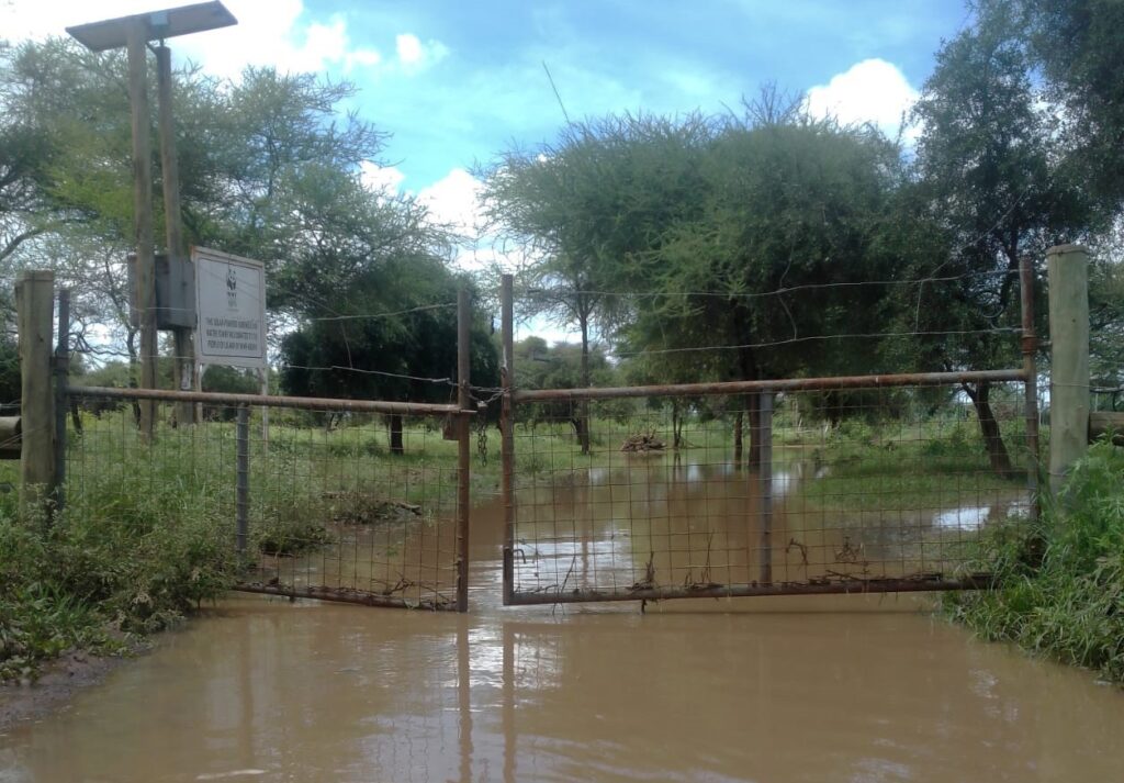 rain floods areas in our region