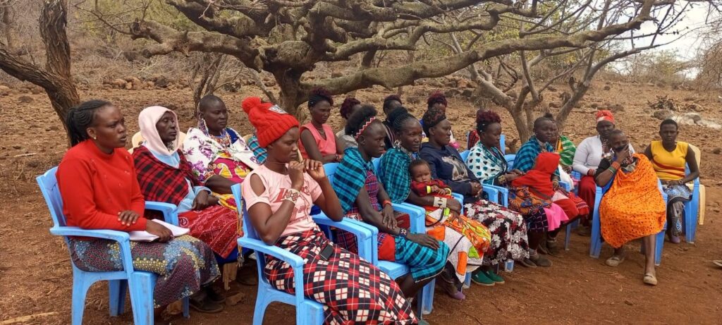 LAB women maasai animals