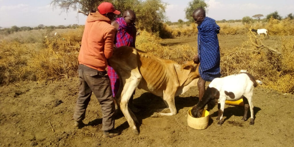 east african drought